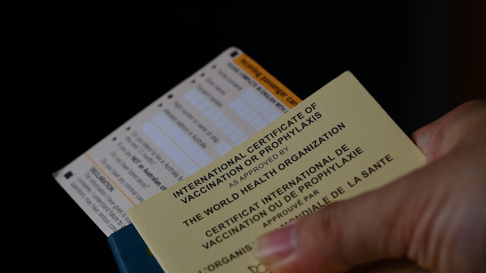 Australian Customs Declaration Form