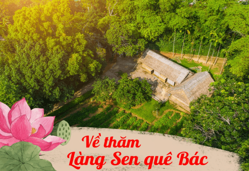 Làng sen Vinh