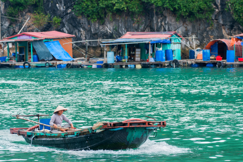 Làng chài cổ Cái Bèo Hải Phòng