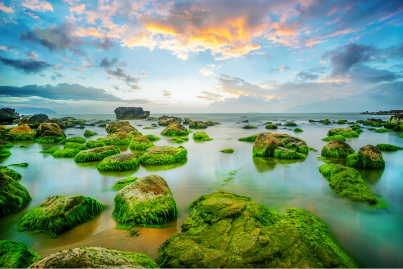 B&atilde;i biển Nam &Ocirc;