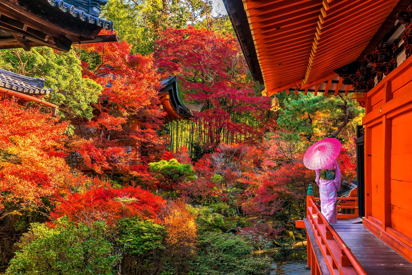 Admire Japan's Autumn Foliage at These Stunning Locations