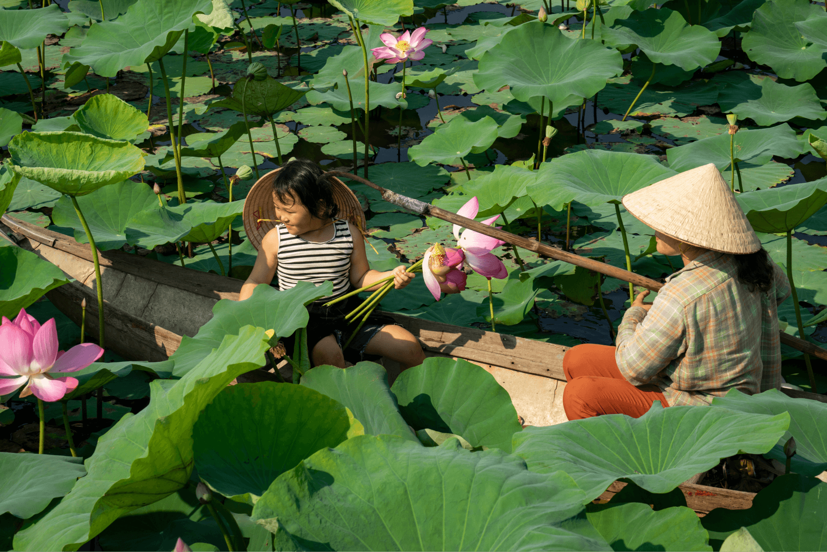 Hồ sen Xuân Bình Phú Yên