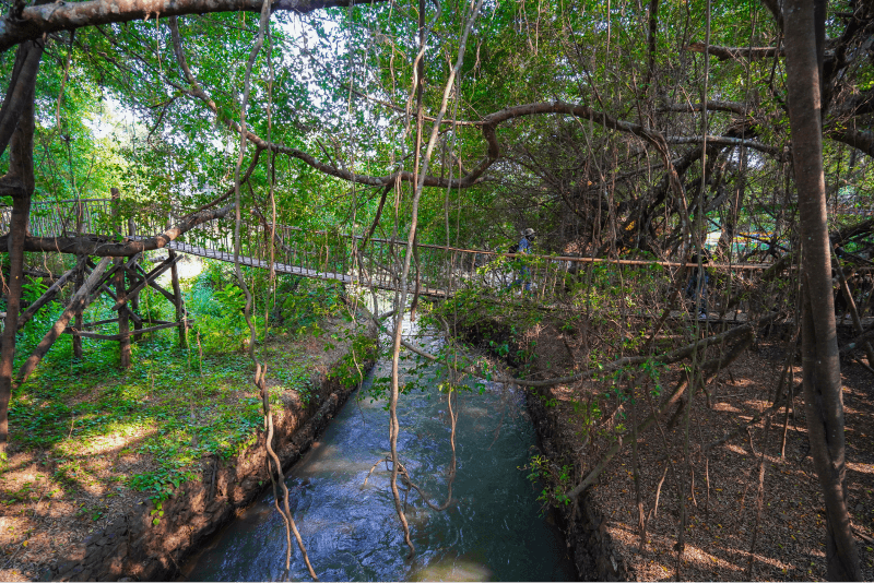 Hình ảnh cầu treo Buôn Đôn