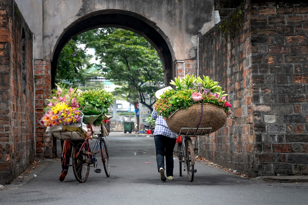 Hanoi Flower