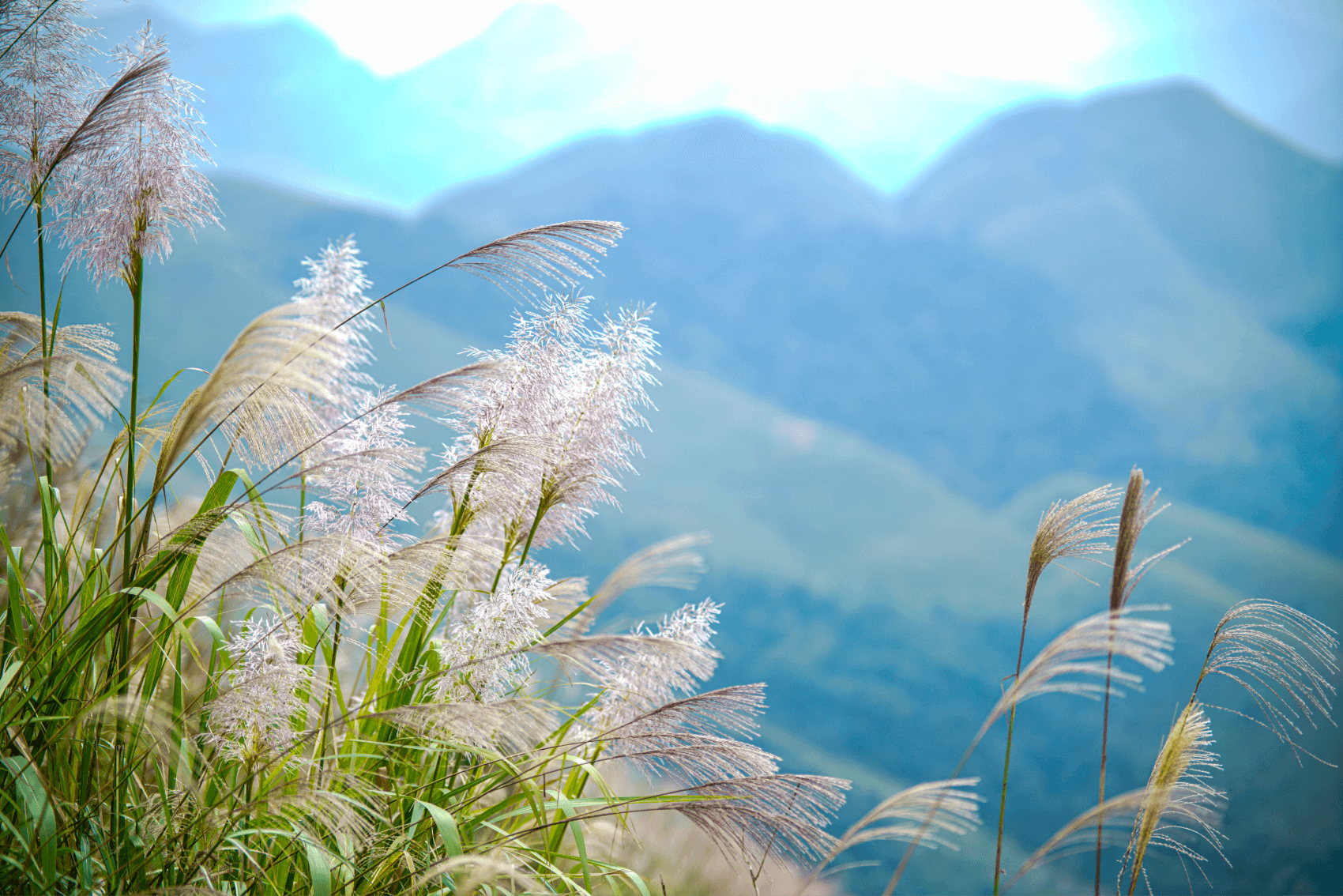 Bình Liêu Quảng Ninh