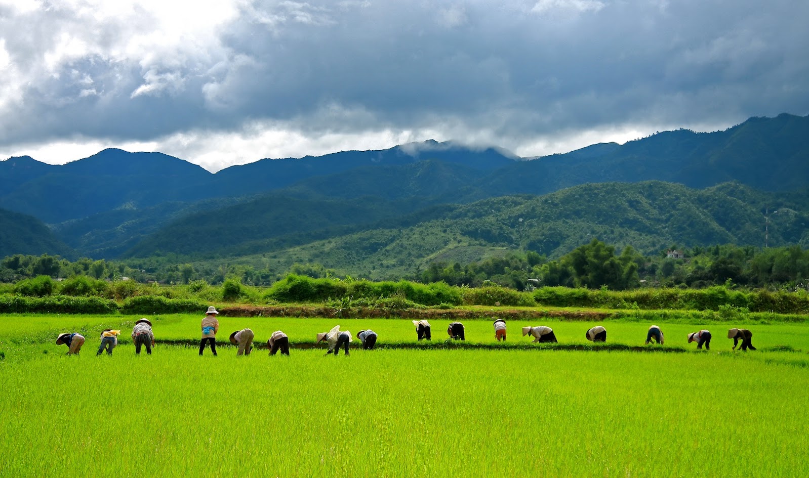 điện biên