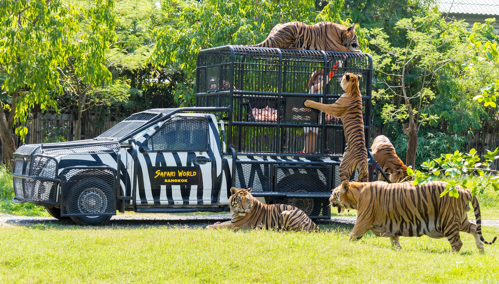 Safari World Bangkok