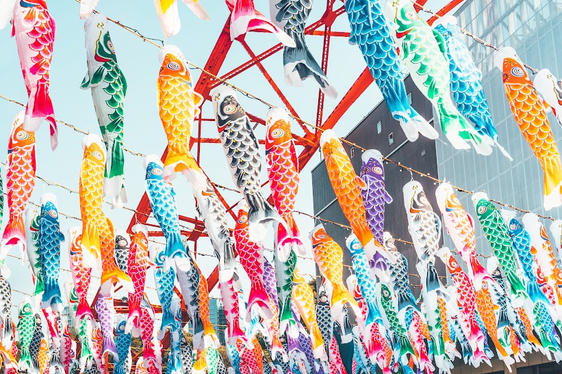 Lễ hội cá chép Koinobori Matsuri dành cho bé trai Nhật Bản