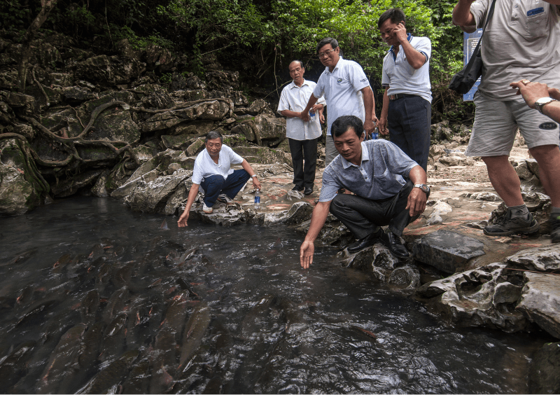 Khu cá thần Cẩm Lương