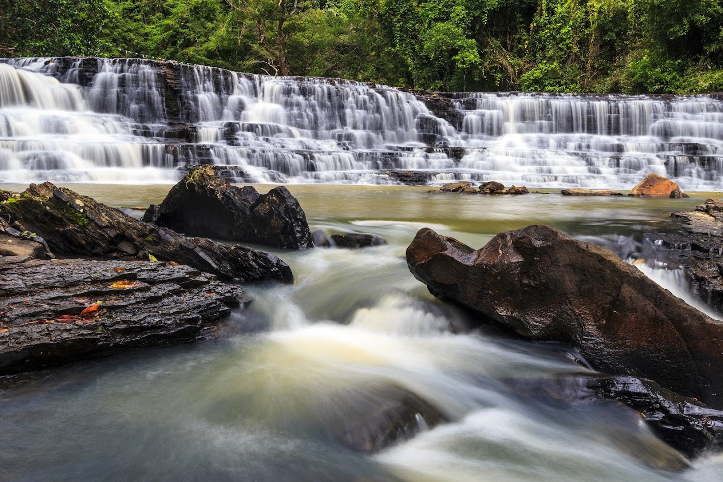 Narcissus waterfall