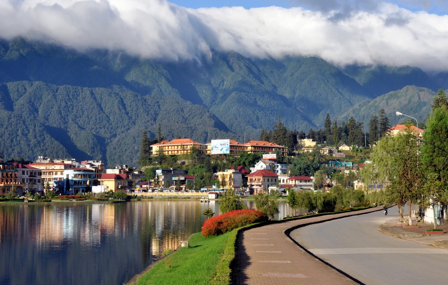 Sapa