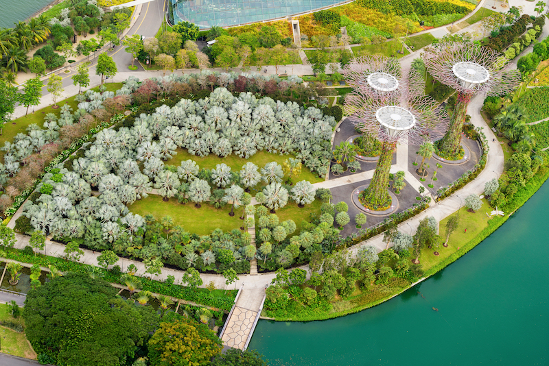 Vườn bách thảo Botanic Gardens - Singapore