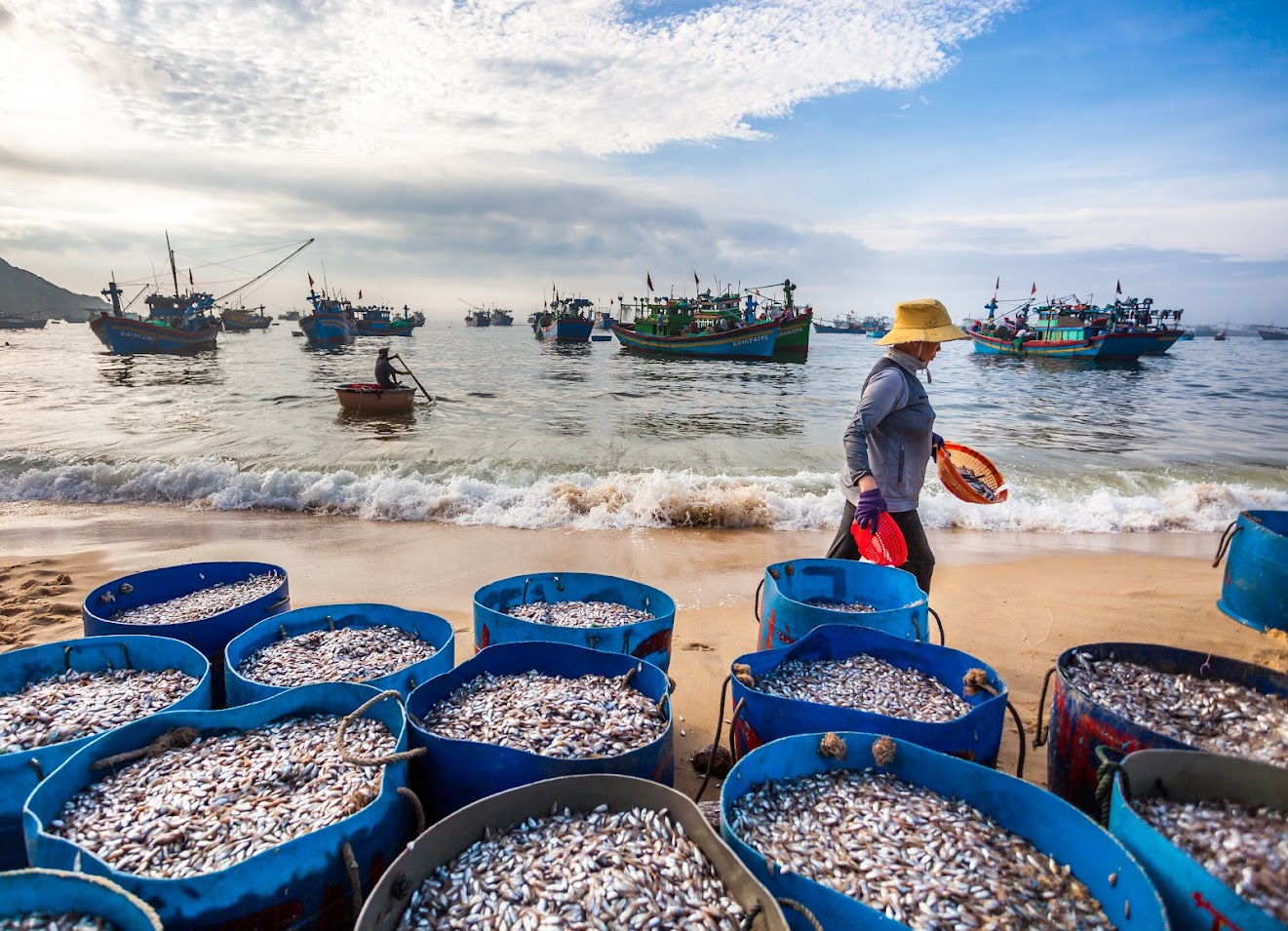 Nhan Ly fishing village is filled with seafood after each catch