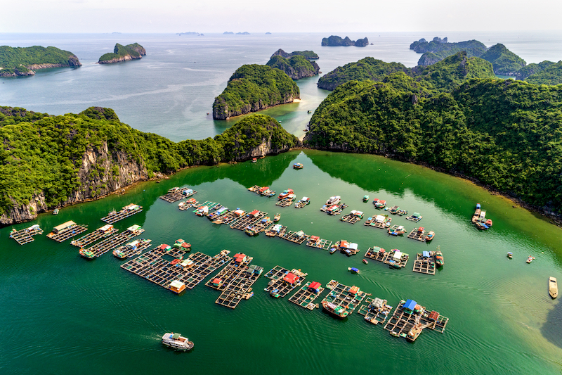 Làng chài Cái Bèo