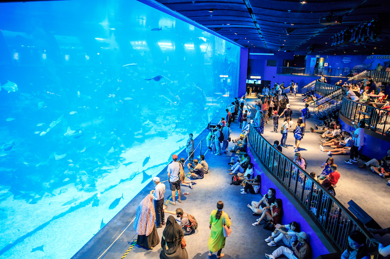 Thủy cung S.E.A. aquarium Singapore