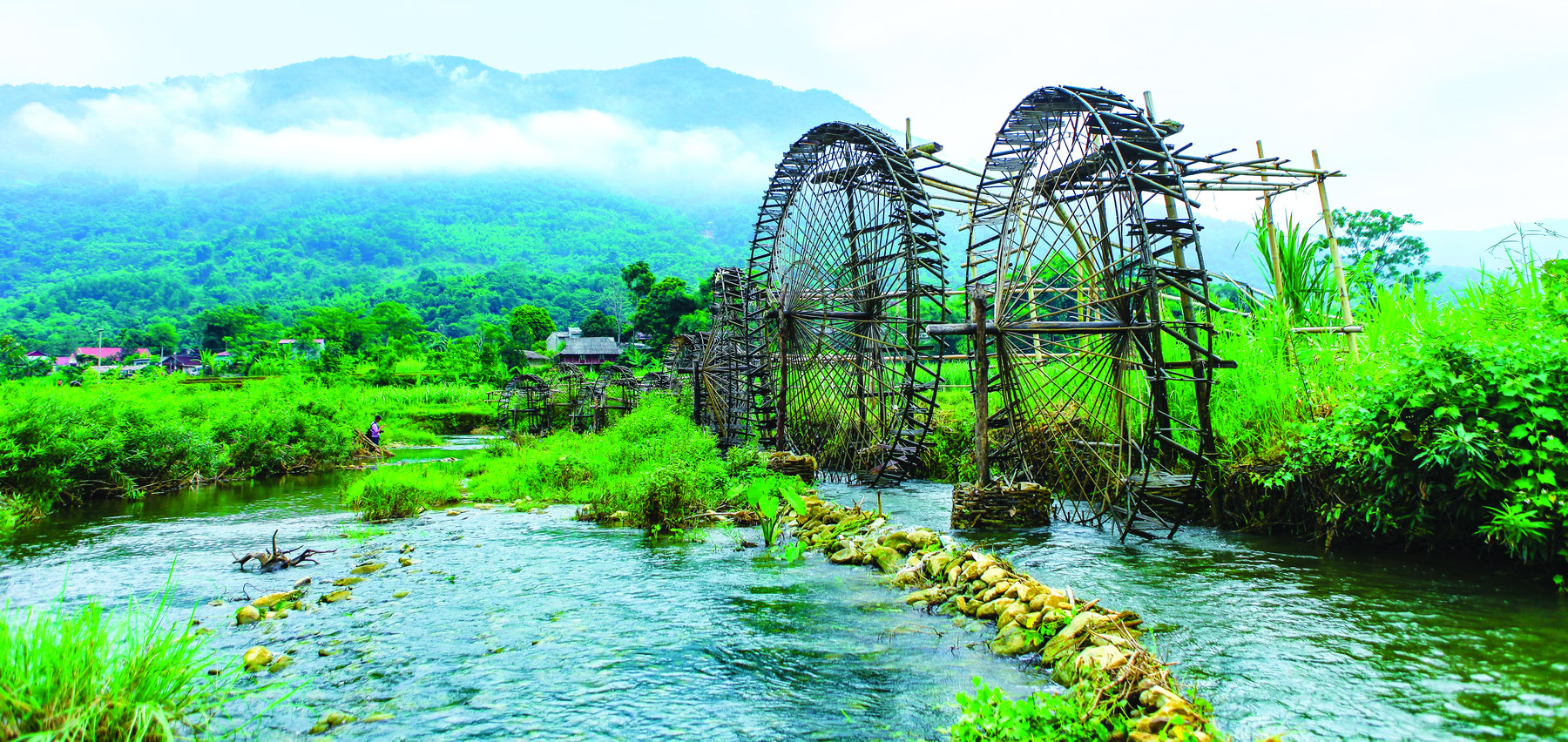 Thanh hoa
