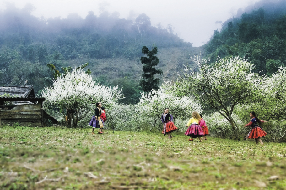 Moc Chau