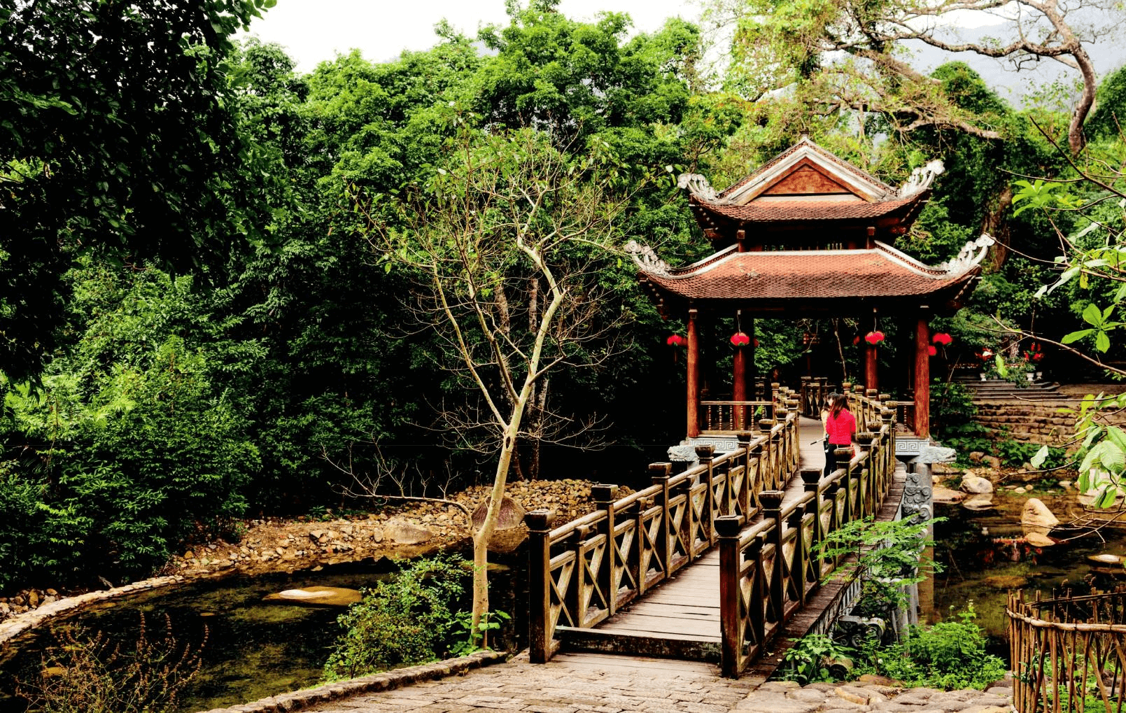 Quang Ninh