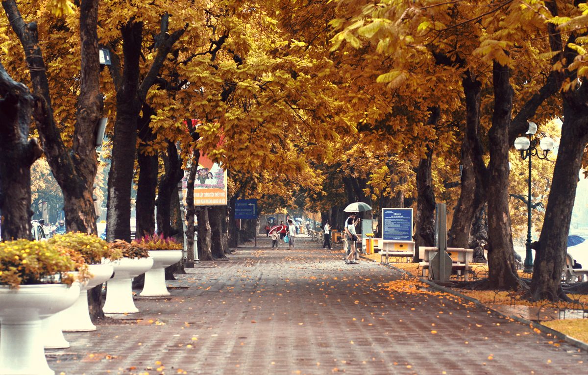 Hà Nội