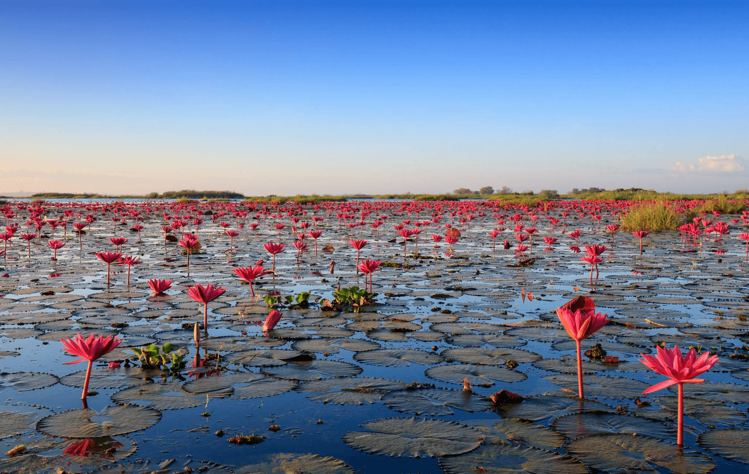 Du lịch Udon Thani - “Thủ phủ Việt kiều” ở Thái Lan