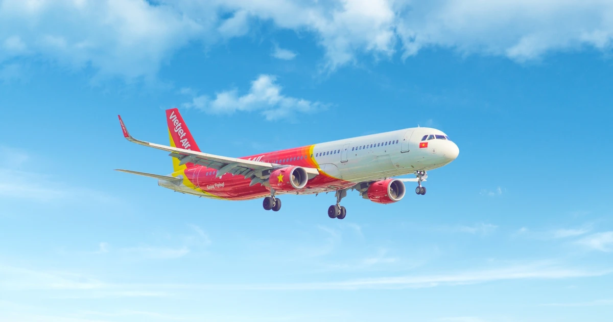 飞向世界，焕新自我