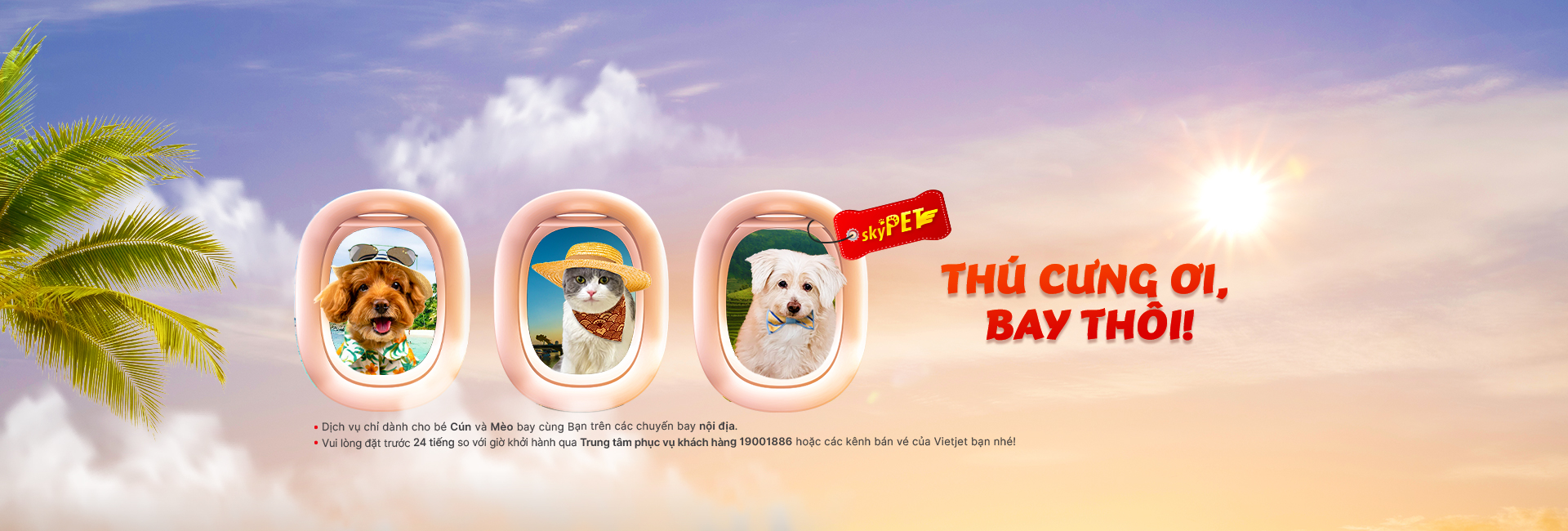 top banner
