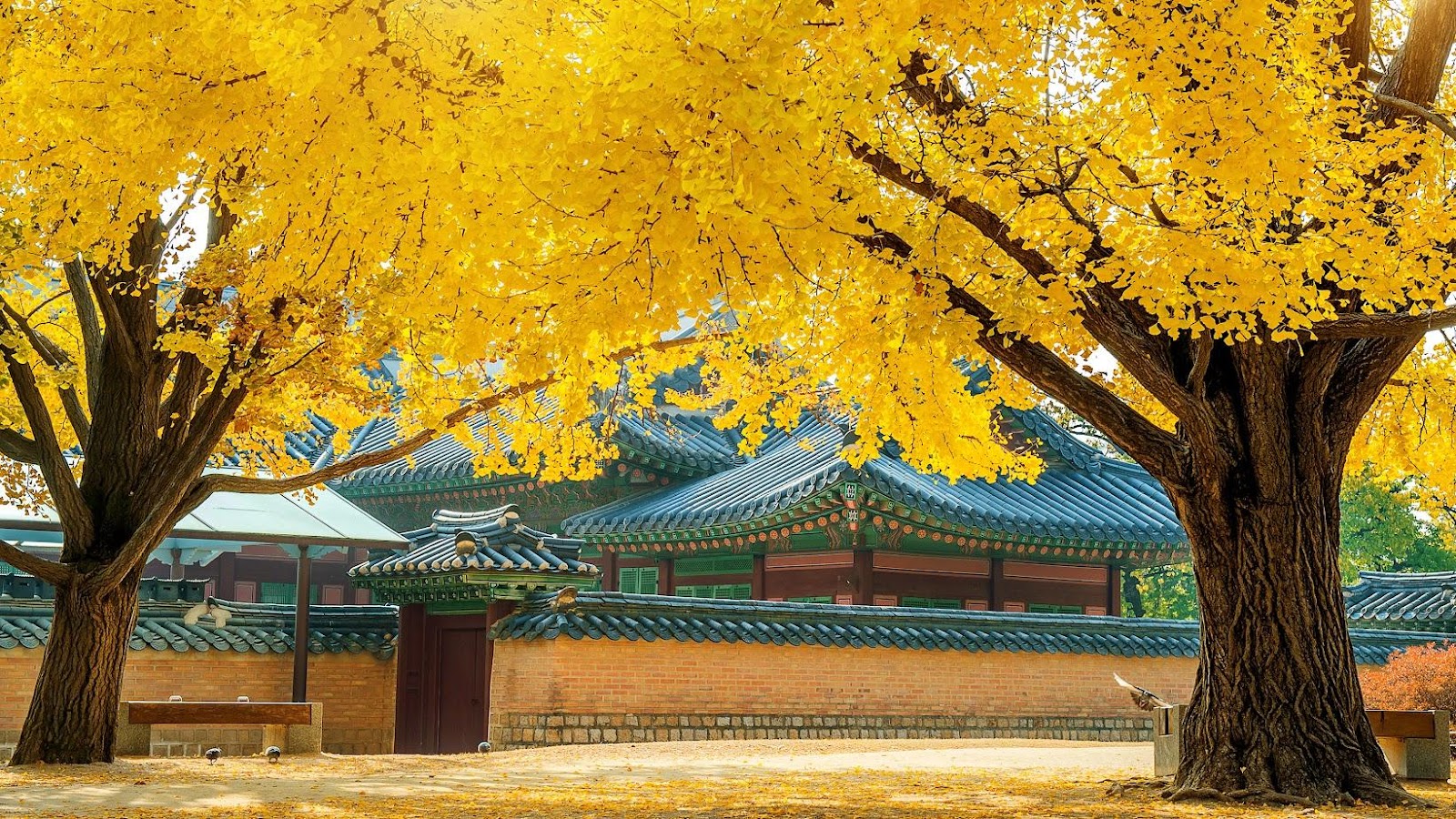 Autumn in Seoul