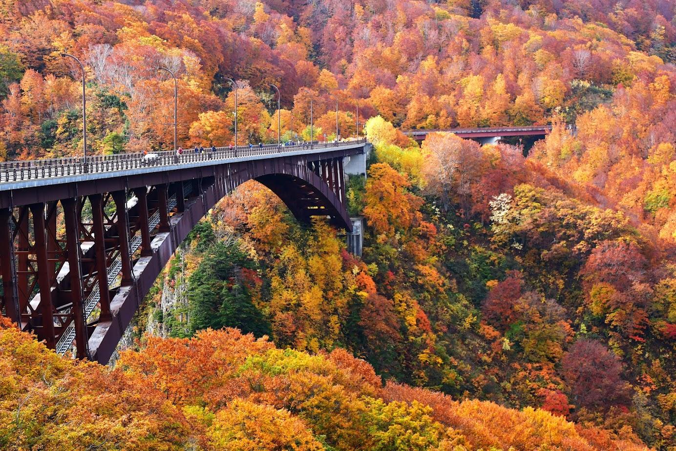 欣賞日本Jogakura Bridge的秋葉