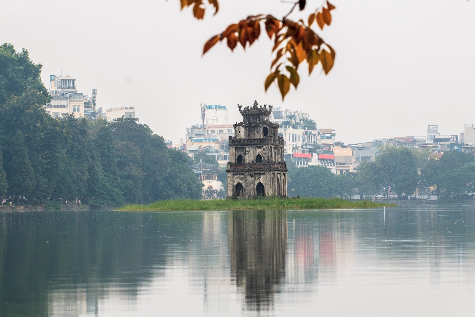 Hanoi's autumn yellow leaves