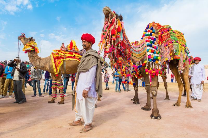 Lễ hội lạc đà Pushkar Camel Fair