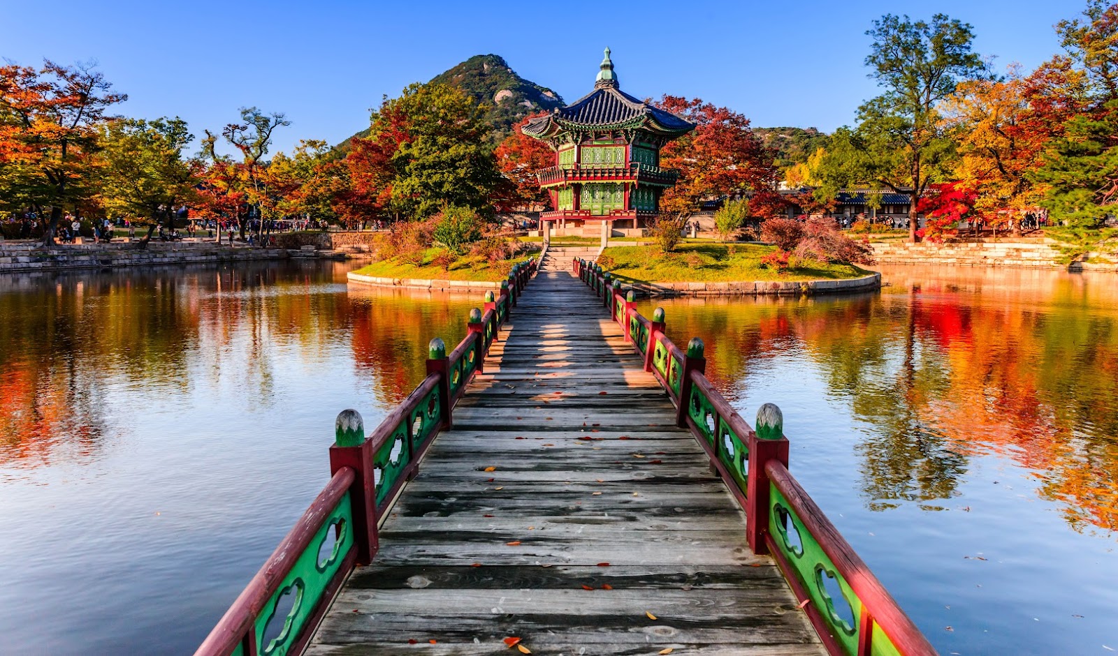 เดินเกาหลีใต้ในเดือนไหนที่สวยที่สุด